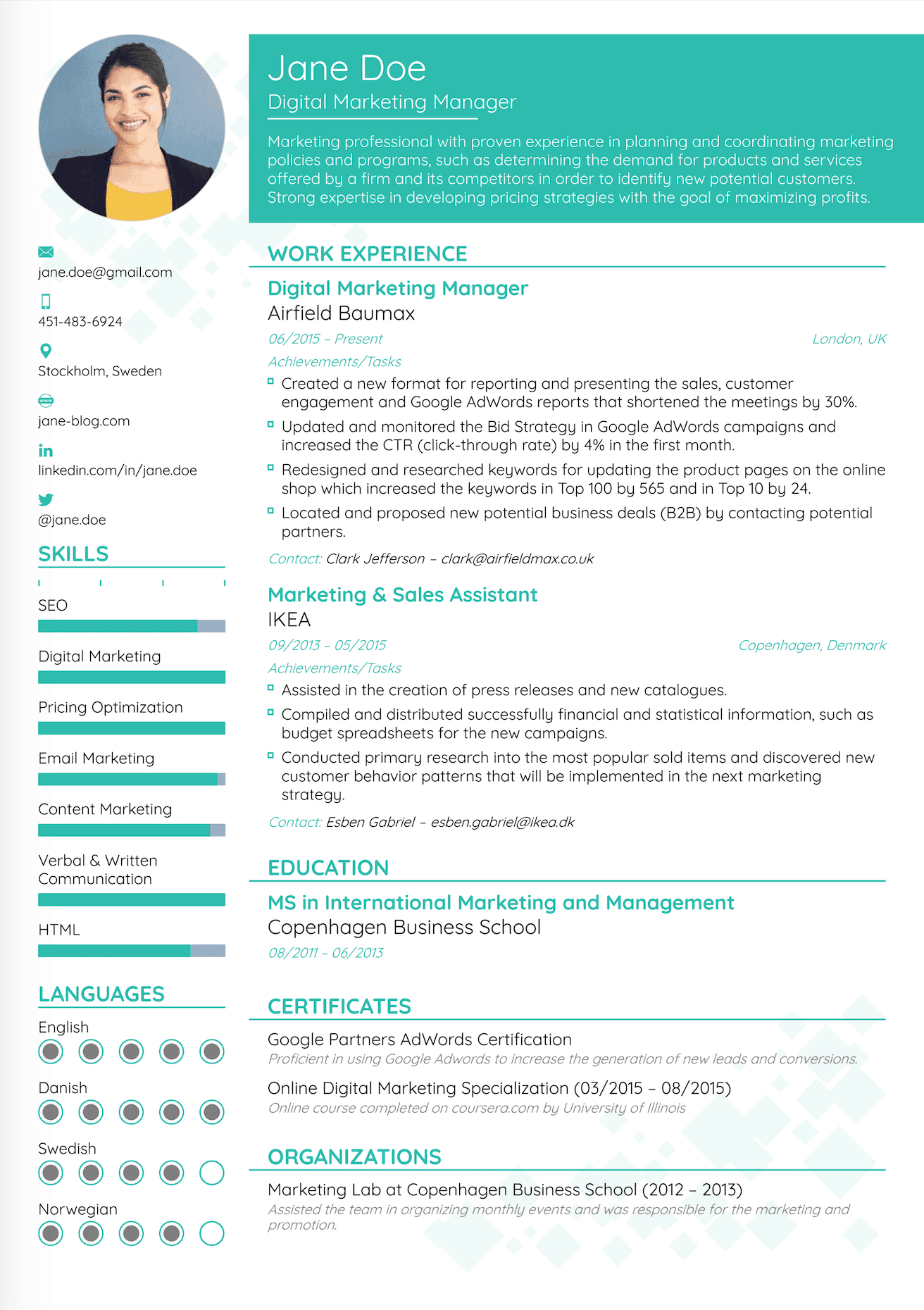 Professional resume template